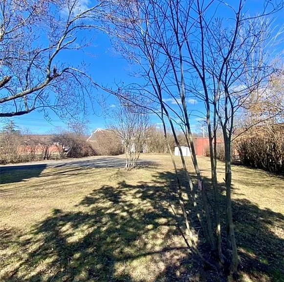 18 Devine St — Photo 16