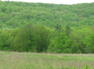 0 Axtel Rd, Savona, NY 14879