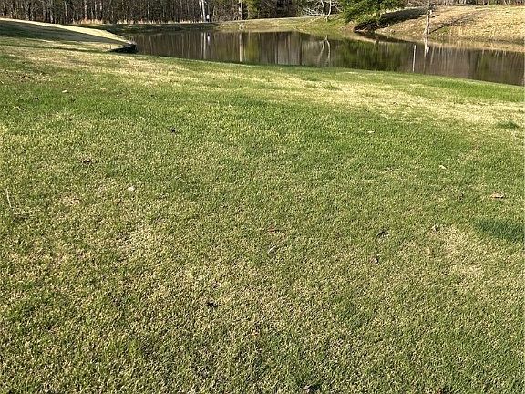 2nd image of 9900 Sandy Ridge Rd