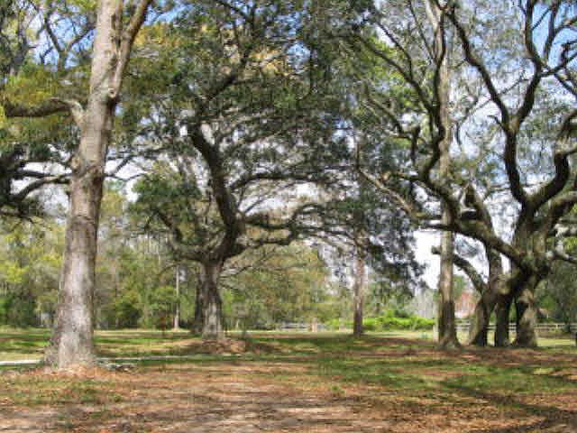1st image of 17151 Tennis Club Dr