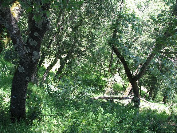 2nd image of Vacant Lot 16