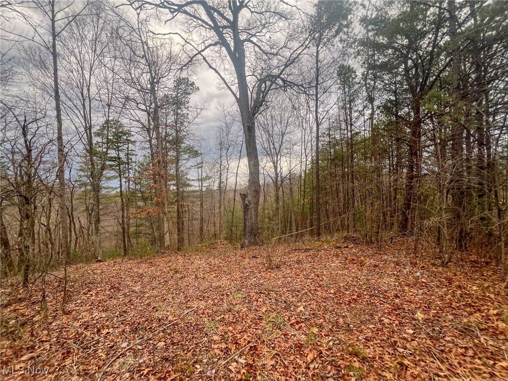 Real estate listing image