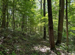 0 Old Country Rd #309, Waynesville, NC 28786