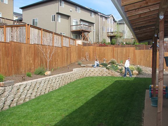Back yard