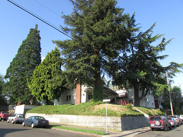 1241 N Prescott St #3 — Photo 17