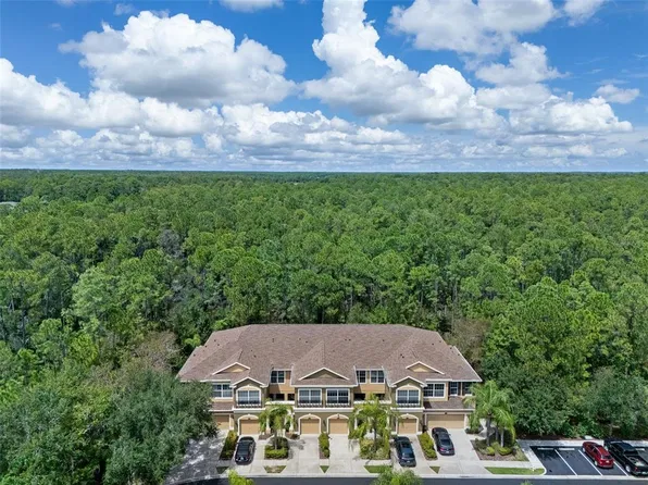 12612 SILVERDALE STREET, TAMPA, FL 33626