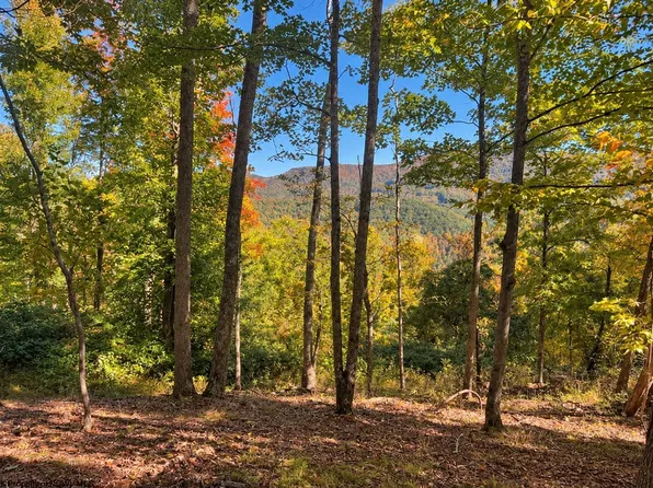 Beckys Creek Rd, Huttonsville, WV 26273