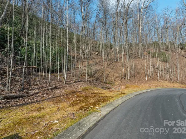 0 Shining Rock Path #12, Horse Shoe, NC 28742
