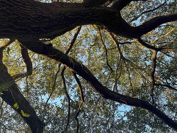 3rd image of 22170 Hoo Shoo Too Rd