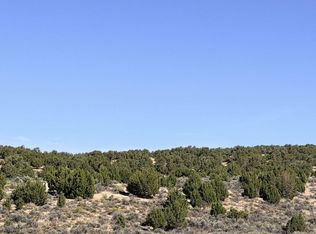 Oneal Ave, Spring Creek, NV 89815