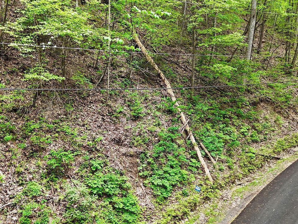 2nd image of LOT 27 Black Walnut Flats Rd