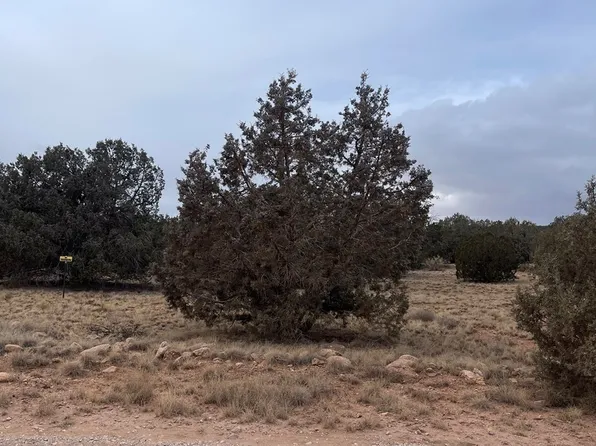 54392 N Via De Oro Pkwy, Seligman, AZ 86337