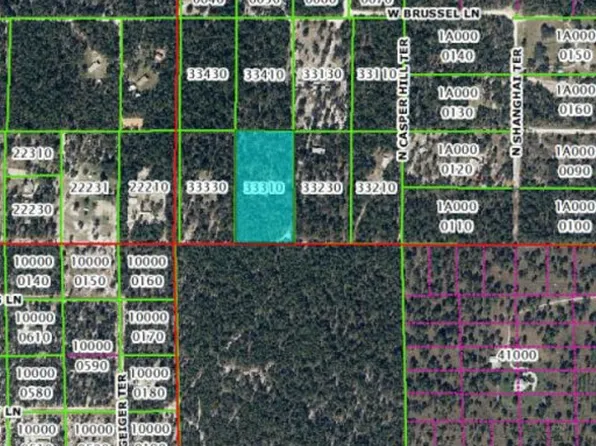 6901 W Quiana Ln, Dunnellon, FL 34433
