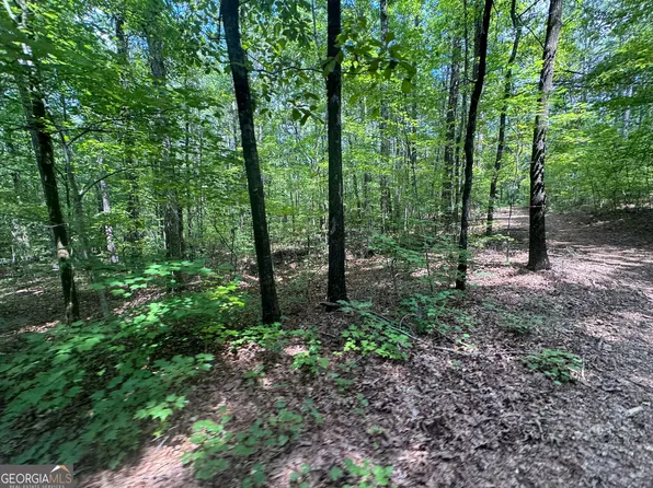 2996 Stokes Store Rd, Forsyth, GA 31029