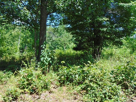 3rd image of 113 Loch Haven Dr