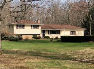 13375 Shady Ln, Chesterland, OH 44026