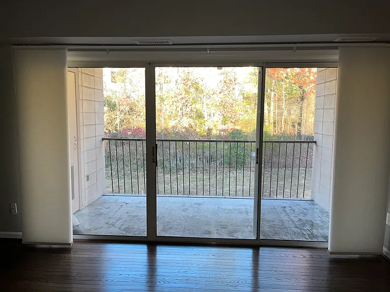 Living room and balcony