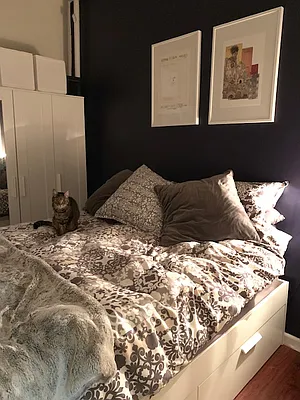 Rented by Nooklyn NYC LLC | media 33