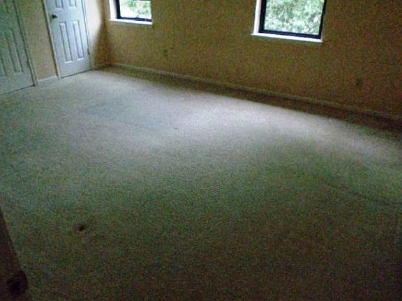 3rd image of 11315 Briar Forest Dr