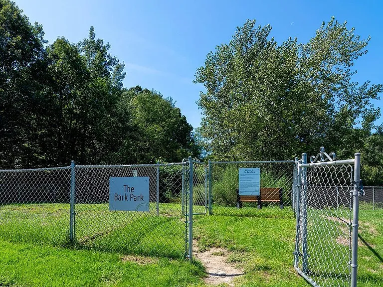 Fenced in Dog Park