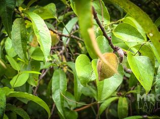 0 County Road 3366, Tenaha, TX 75974