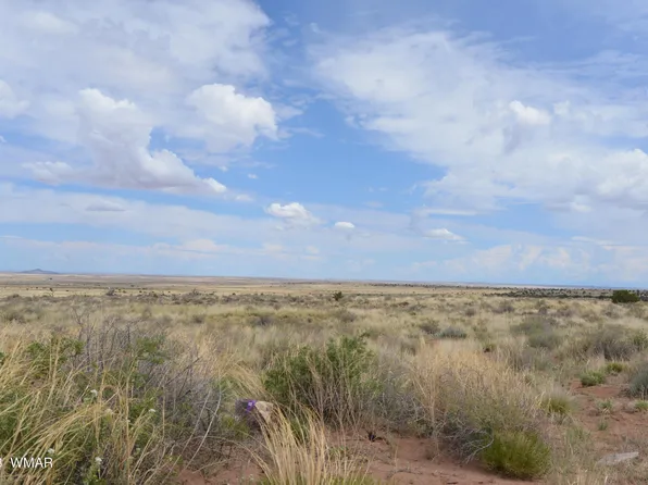 8181 Uttecht Trl, Snowflake, AZ 85937