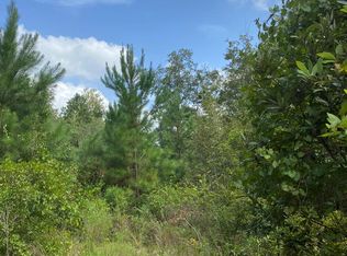 TRACT 3 Bay Acres Rd, Jesup, GA 31545