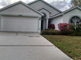 10919 Lake Andover Blvd, Tampa, FL 33624
