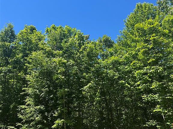 2nd image of 58 Ridge Rd Lot 58