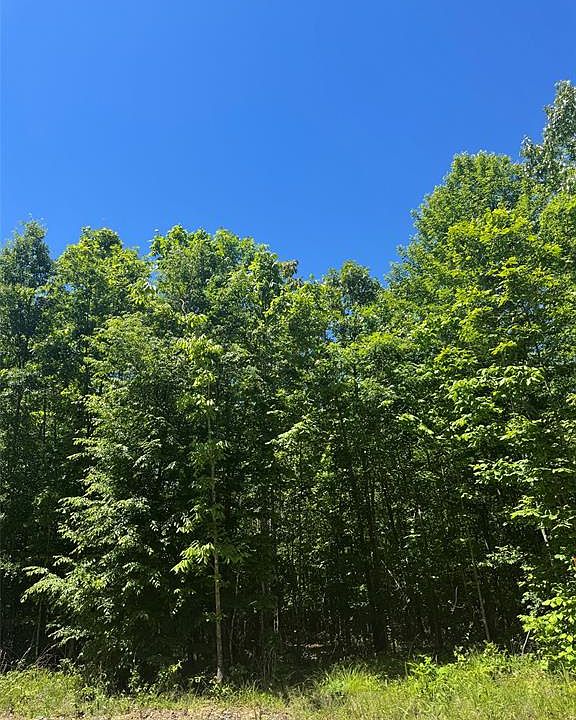 1st image of 58 Vista Ridge Trail