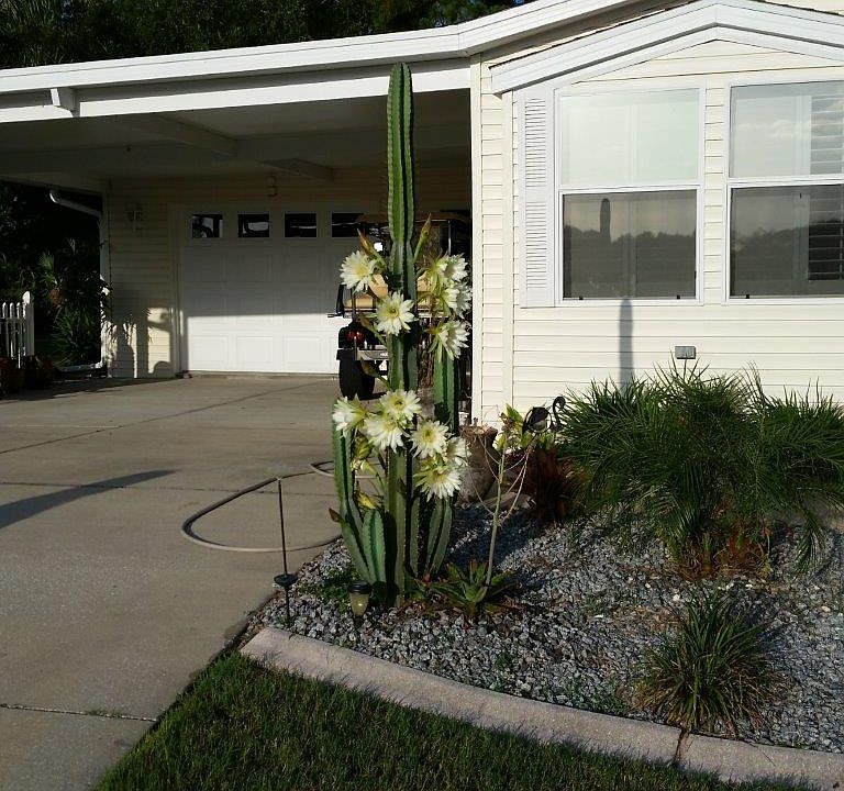 2nd image of 467 Casa Grande #521