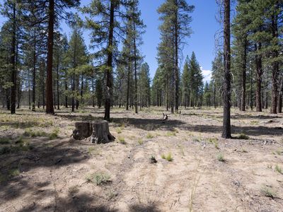 17772 Preservation Loop #485, Bend, OR, 97707
