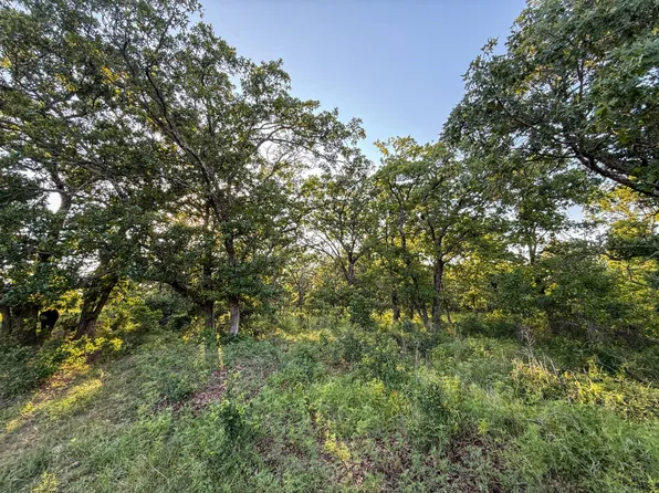 TRACT 2 Shady Grove Rd, Wardville, OK 74576