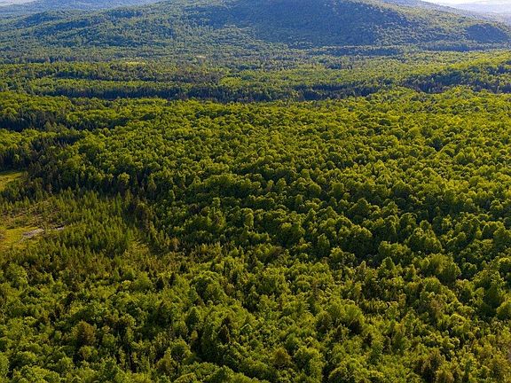 2nd image of 3180 Bear Hill Road