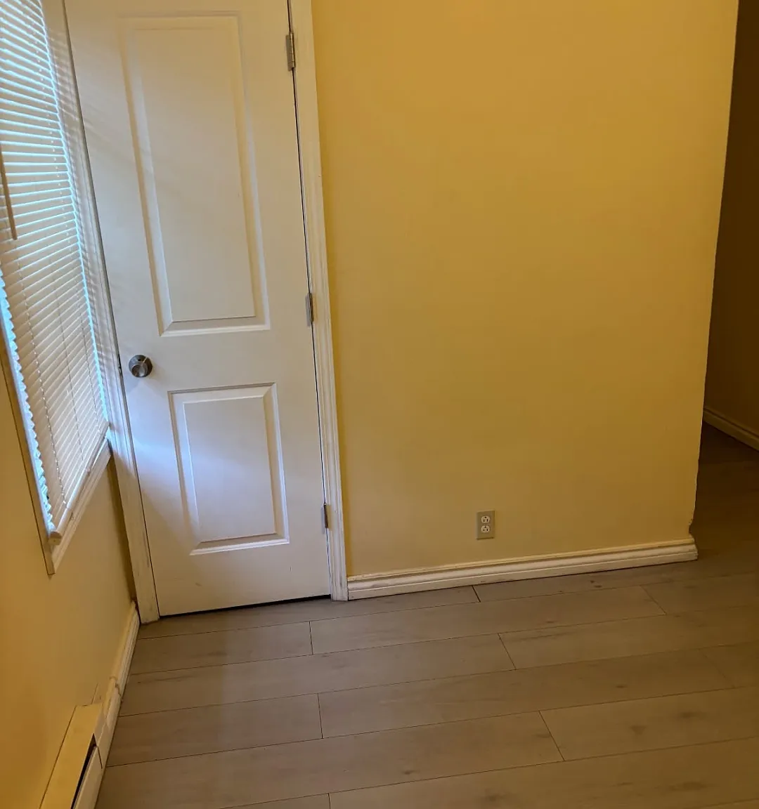 1 bed, 500 sqft, $800 — Photo 2