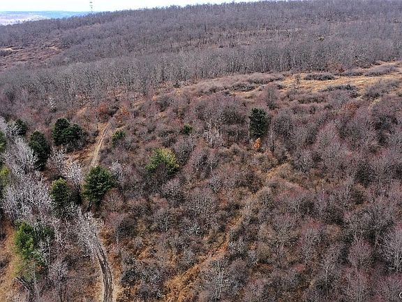 5th image of Welty Rd