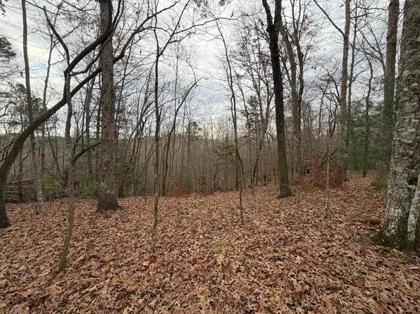 454R Joliet Dr, Ellijay, GA 30540