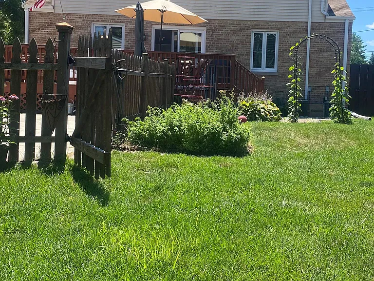 Back yard