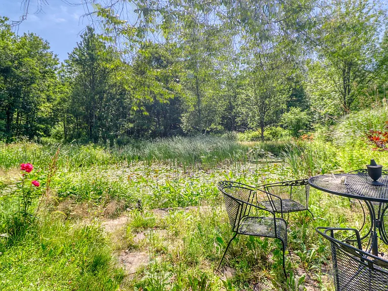 10066 Point Rock Rd — Photo 36