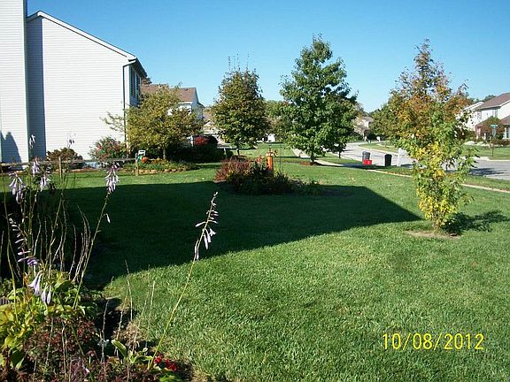 5th image of 2247 Deerpointe Dr