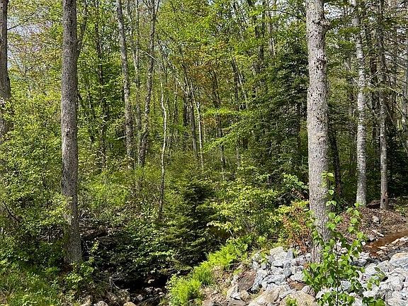 3rd image of Lot 0 Fairbanks Drive