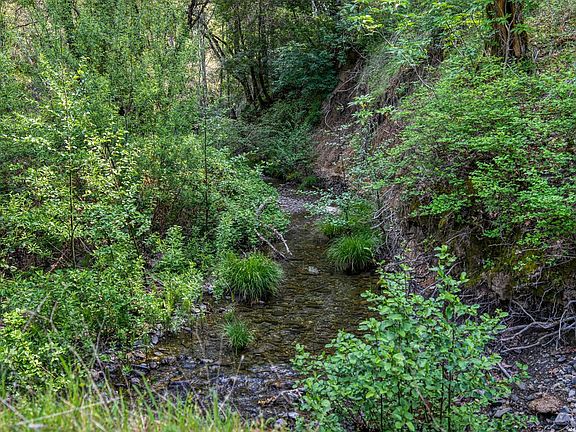 5th image of 12300 Skaggs Road