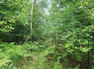 PARCEL D&e River Rd, Manistee, MI 49660