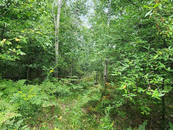 PARCEL D&e River Rd, Manistee, MI 49660