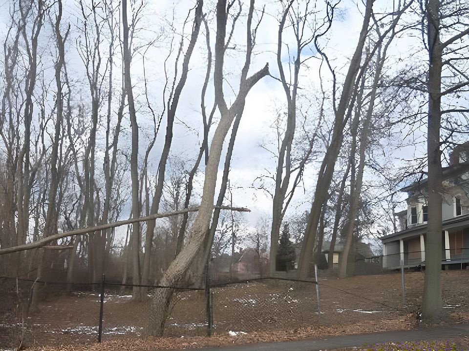 1st image of 3 Worthington St