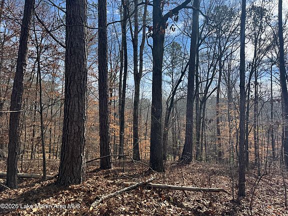 2nd image of 29 Fern Ridge Ln