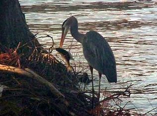 136 Water Front Rd, Cobb, GA 31735