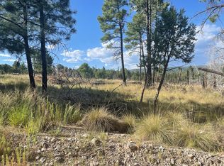 27 Balkans Dr, Timberon, NM 88350