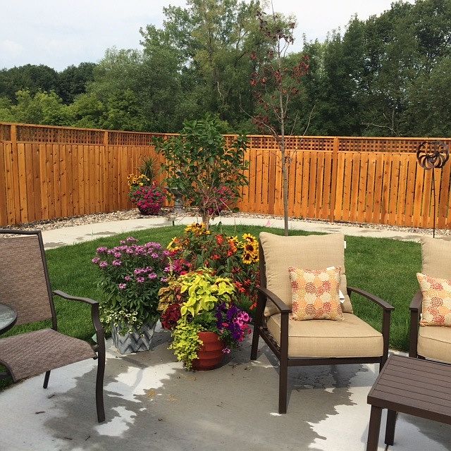 Outdoor patio/garden area