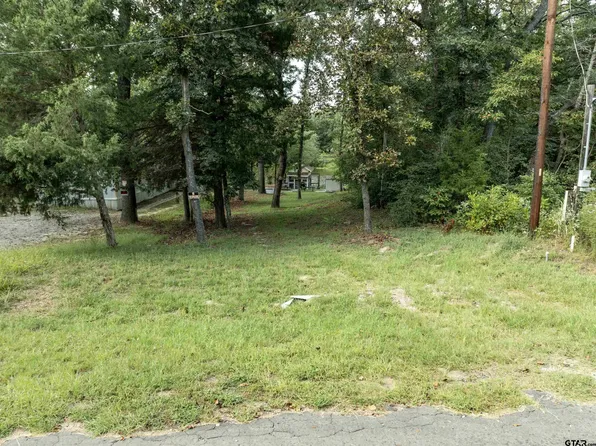 135 Ridgewood Ln, Murchison, TX 75778